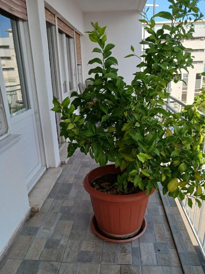 Room With Private Toilet And Terrace In City Center In Shared Apartment Split Eksteriør billede